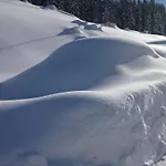Hutte Thaler Σαλέ