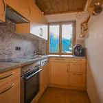 Hutte Thaler Chalet Fuegen