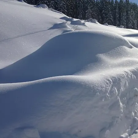 Hutte Thaler Chalet
