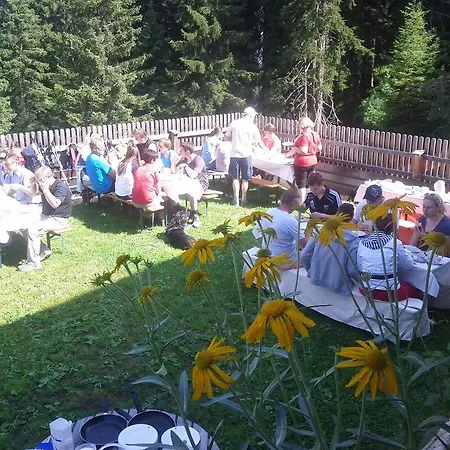 Chalet Hutte Thaler Fuegen