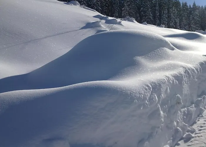 Hutte Thaler Шале