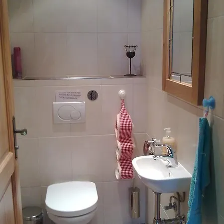 Hutte Thaler フューゲン